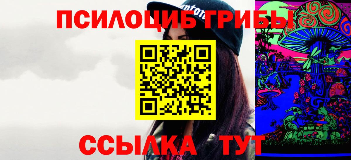 Галлюциногенные грибы Psilocybine cubensis Усть-Илимск