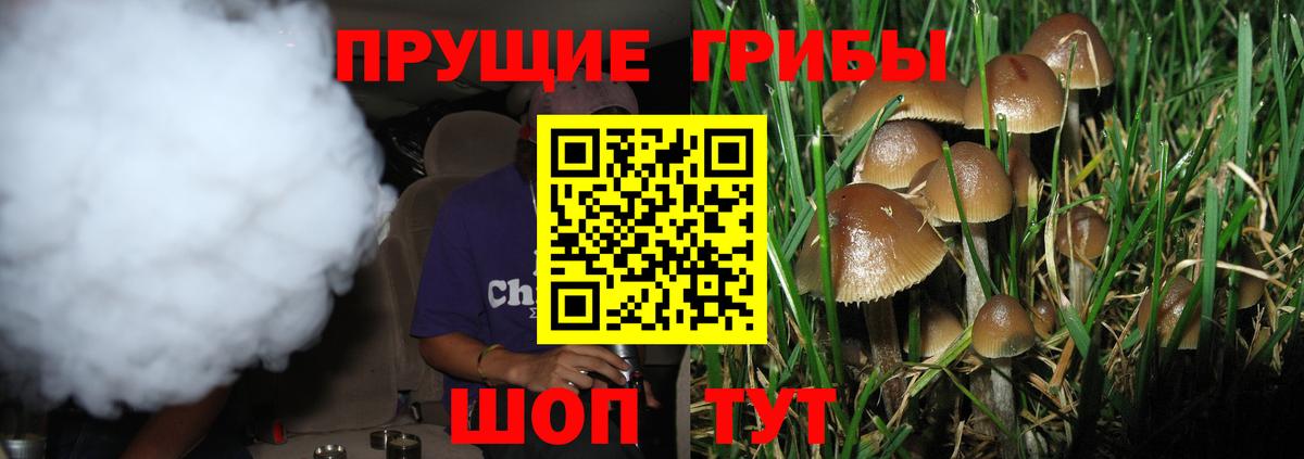 где купить   Вход с VPN  Псилоцибиновые грибы Cubensis  Усть-Илимск  Галлюциногенные грибы Cubensis 